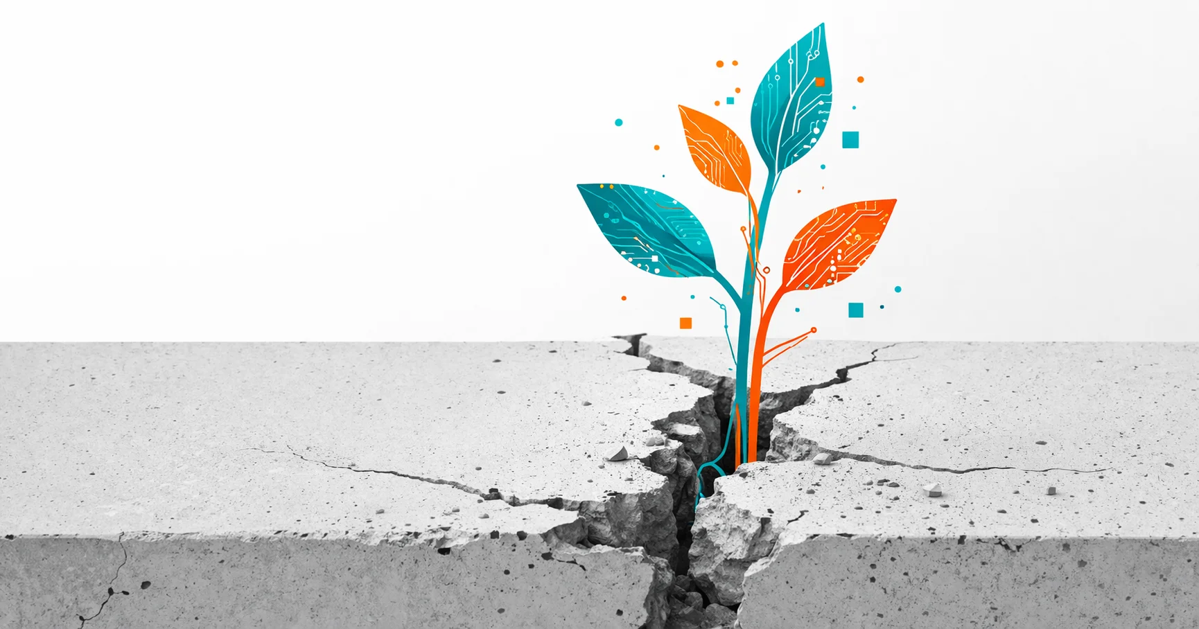 Software a medida para pymes